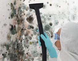 Why You Should Choose Our Mold Remediation Services in Avimor, ID